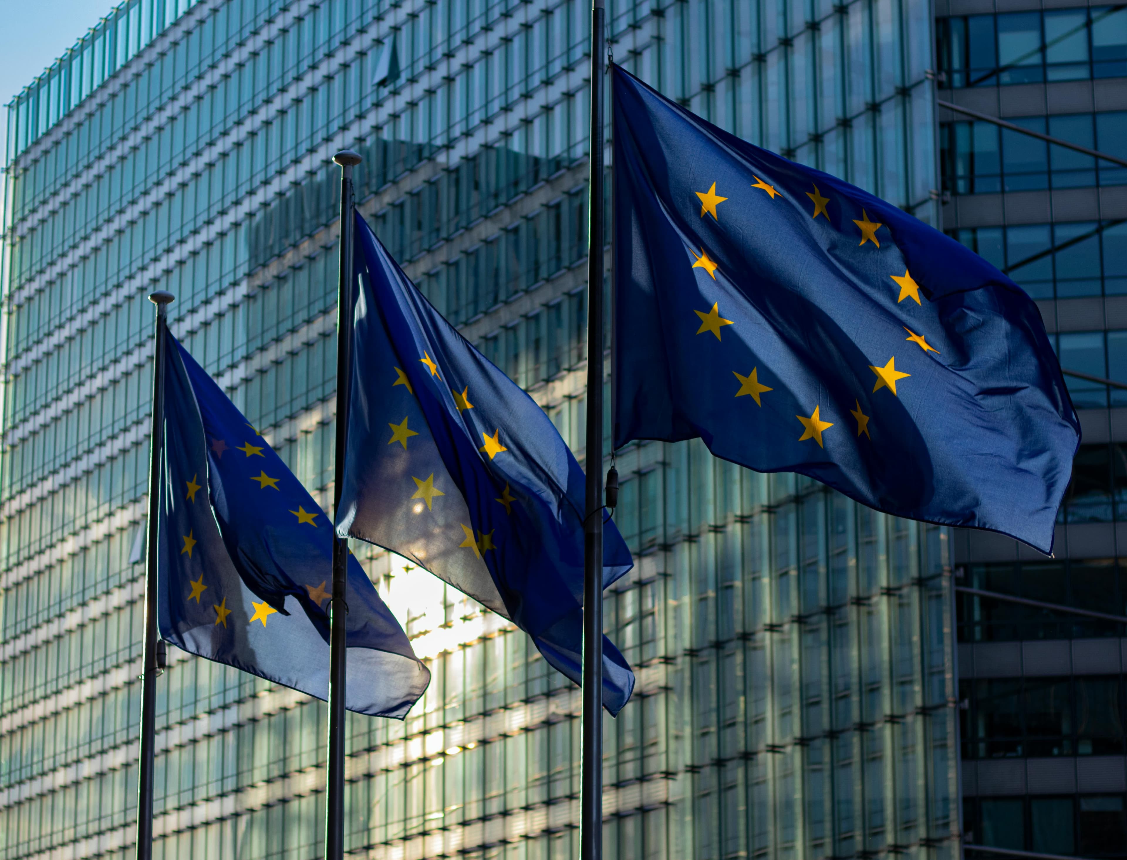 Bid Systems — European public procurement